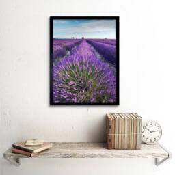 "Artery8 Lavender Field Provence France Morning Flowers 12x16"" Framed Art Print in Purple - Size: W12"" x H16""" - thumbnail 2
