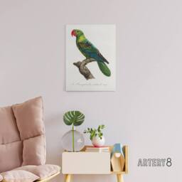 "Artery8 The Great Billed Parrot Francois Levaillant Canvas Wall Art Print in White - Size: W12"" x H16""" - thumbnail 3