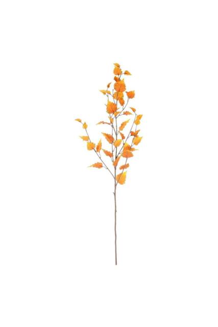 KDMD Yellow Glamis Birch 96cm 2 Pack - image 1