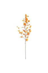KDMD Yellow Glamis Birch 96cm 2 Pack