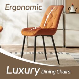 SONARA Modern Set of 4 Velvet Dining Chairs with Ergonomic Upholstered Seat in Orange - thumbnail 7