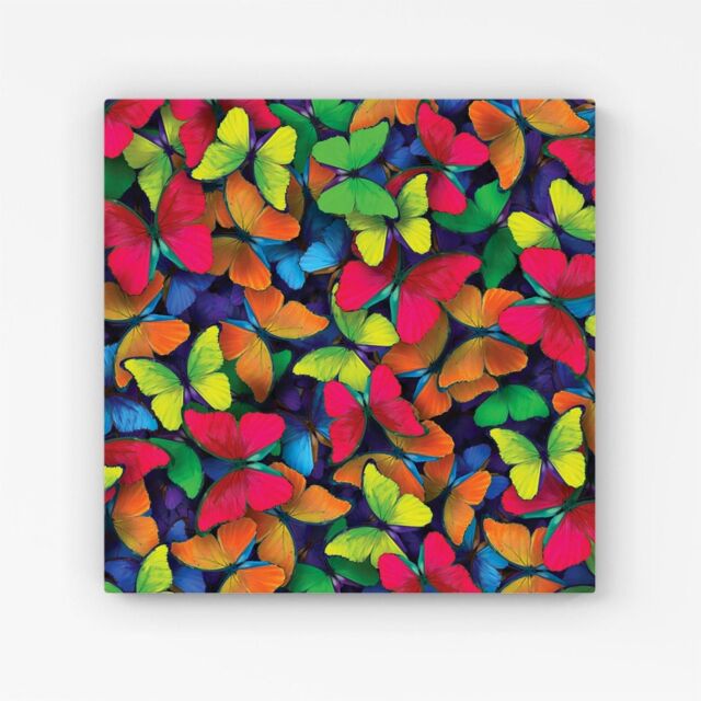 "Warren Reed - Designer Rainbow Butterflies Canvas in Red - Size: W16"" x H16""" - image 1