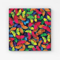 "Warren Reed - Designer Rainbow Butterflies Canvas in Red - Size: W16"" x H16""" - thumbnail 1