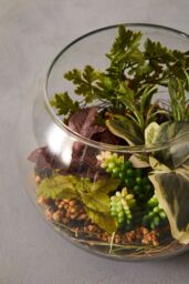 Orsina Fiori Large Glass Pot Mixed Succulent in Clear - thumbnail 3