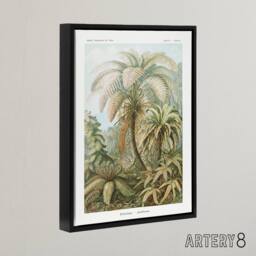 "Artery8 Tropical Nature Filicinae Fern Plants Haeckel Framed Canvas Wall Art in Green - Size: W12"" x H16""" - thumbnail 2