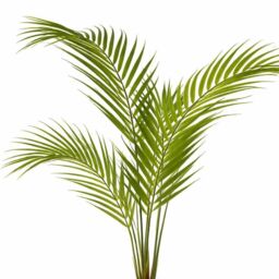 Leaf Artificial Areca Palm Tree Faux Plant 70cm in Green - thumbnail 3