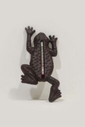 Homescapes Cast Iron Thermometer Frog in Brown - thumbnail 1