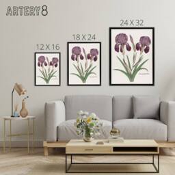 "Artery8 Purple iris germanica Anselmus de Boodt Framed Canvas Wall Art Print in White - Size: W12"" x H16""" - thumbnail 4