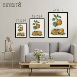 "Artery8 Vintage Fruit Illustration of Apricots Wright Framed Canvas Wall Art in White - Size: W12"" x H16""" - thumbnail 4