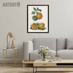 "Artery8 Vintage Fruit Illustration of Apricots Wright Framed Canvas Wall Art in White - Size: W12"" x H16""" - thumbnail 3