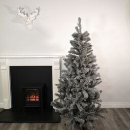 Samuel Alexander 6ft (180cm) Colorado Grey Spruce Christmas Tree with Wrapped Branches & 483 Tips - thumbnail 1