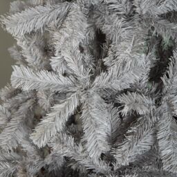 Samuel Alexander 6ft (180cm) Colorado Grey Spruce Christmas Tree with Wrapped Branches & 483 Tips - thumbnail 4