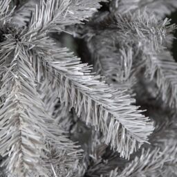 Samuel Alexander 6ft (180cm) Colorado Grey Spruce Christmas Tree with Wrapped Branches & 483 Tips - thumbnail 5