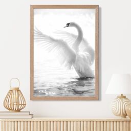 ARTZE Graceful Swan Bird Black & White Photo Framed Print SIZE: A4 with Oak Frame - thumbnail 2