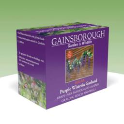 Gainsborough Solar Garland Purple Wisteria Garland with 20 Warm White LEDs, L180cm - thumbnail 3