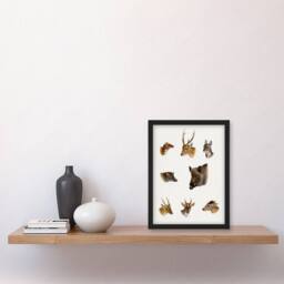 Artery8 Wildlife Animals Vintage Illustration Lydekker Framed Wall Art Print in White - Size: A4 - thumbnail 2