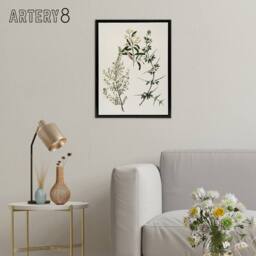 "Artery8 New Zealand Pomaderris Edgerleyi Plant Featon Framed Canvas Wall Art in Beige - Size: W24"" x H32""" - thumbnail 3