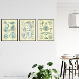 "Artery8 Wall Art Print Set of 3 Jellyfish Blue on Yellow Haeckel Vintage s Detailed Marine Study Living Room Poster s Pack - Size: W12"" x H16""" - thumbnail 3