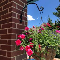 "Marco Paul 8"" Hanging Basket Bracket in Black" - thumbnail 7