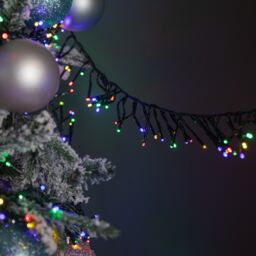 Samuel Alexander 1440 LED Cluster Multi-Action String Lights in Multi-Coloured - thumbnail 4