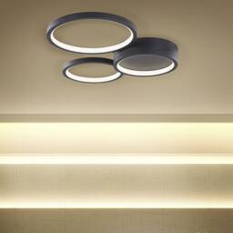 Wyld and Coco Round 3-Shade Ceiling Light Black Steel with Integrated LED