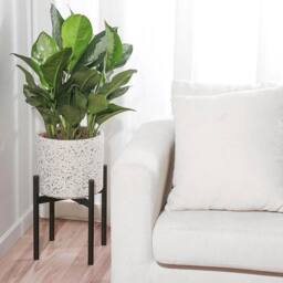 KORVIXA Metal Plant Stand Black Extendable - Size: 500mm - thumbnail 5