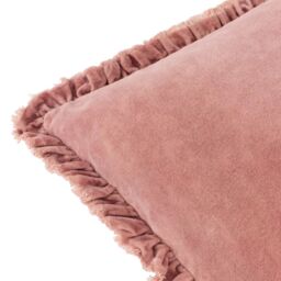 Yard Bertie 100% Cotton Velvet Cushion in Light Pink - Size: 45 cm x 45 cm - thumbnail 4