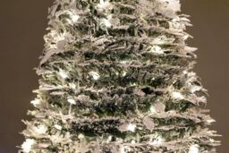 Shatchi Prelit Holly Flock Pop up Christmas Tree Xmas Home Indoor LED Warm White Lights Baubles Decorations Battery Operated, 4Ft - thumbnail 5