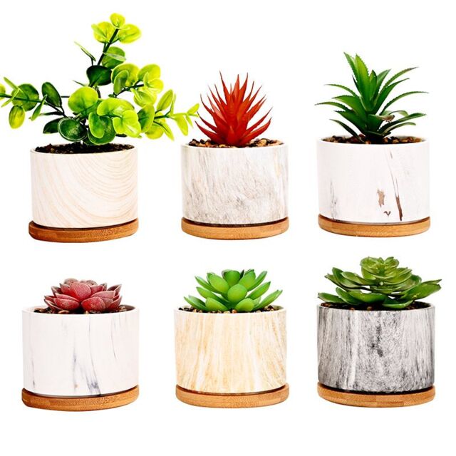 simpa 6PC Mixed Colour Pattern Ceramic Plant Pots with Bamboo Base - image 1