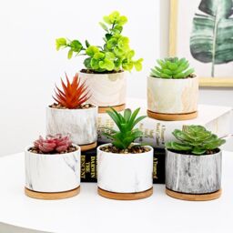 simpa 6PC Mixed Colour Pattern Ceramic Plant Pots with Bamboo Base - thumbnail 3