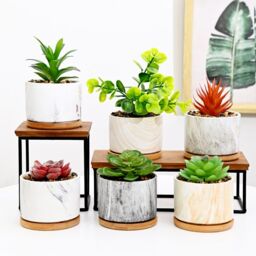 simpa 6PC Mixed Colour Pattern Ceramic Plant Pots with Bamboo Base - thumbnail 2