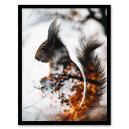 Artery8 Wall Art Print Squirrel Lover Autumn Photo Woodland Animal Art Framed Poster in Black - Size: A4 - thumbnail 1