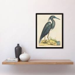 "Artery8 Blue Heron Natural History Illustration Catesby Framed Wall Art Print in Beige - Size: W12"" x H16""" - thumbnail 4