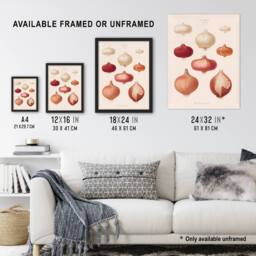 "Artery8 Onions Vintage Kitchen Ernst Benary Framed Wall Art Print in White - Size: W12"" x H16""" - thumbnail 3