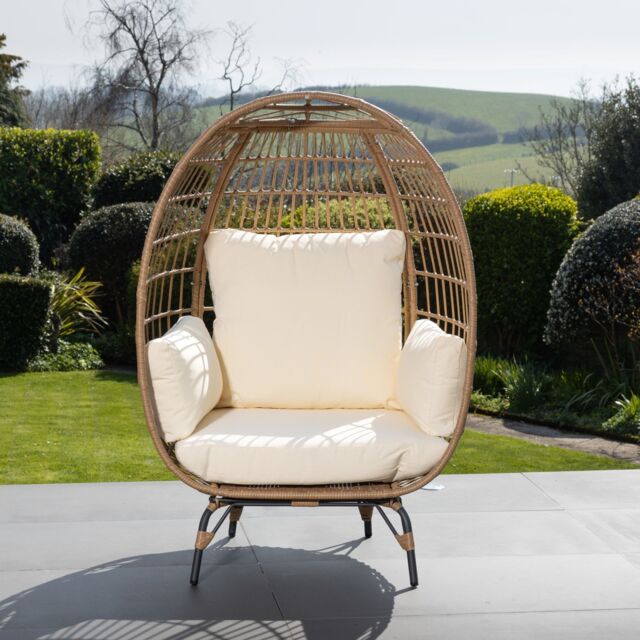 debenhams egg chair