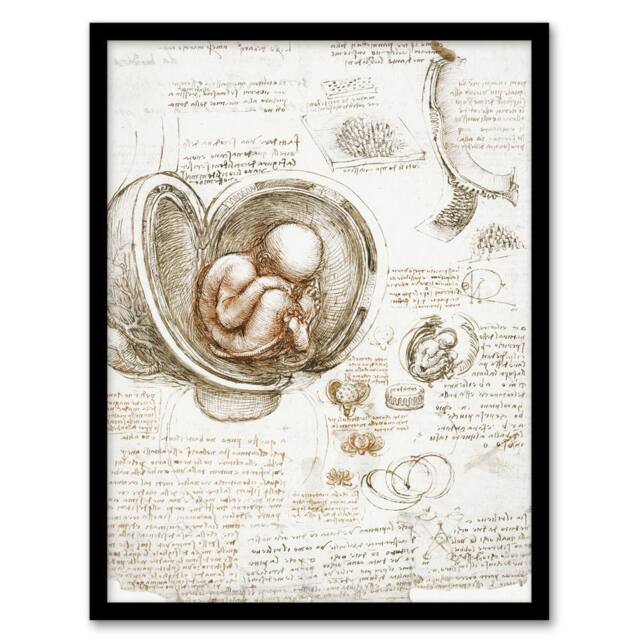 Artery8 Leonardo da Vinci Framed Wall Art Studies of the Foetus in the Womb in Beige - Size: A4 - image 1