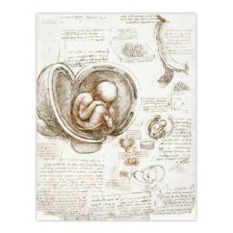 Artery8 Leonardo da Vinci Framed Wall Art Studies of the Foetus in the Womb in Beige - Size: A4 - thumbnail 3