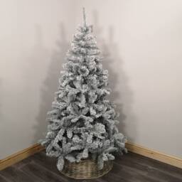 Samuel Alexander Kaemingk 8ft (240cm) Flocked Snowy Imperial Pine Hinged Christmas Trees in Green - thumbnail 1