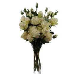 Leaf 6 x 60cm Cream Rose Artificial Flower Sprays - 24 Flowers 18 Buds in Yellow - Size: 6 x 60 cm - thumbnail 1