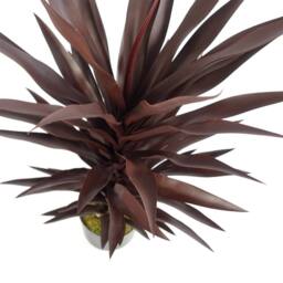 Leaf 85cm Dark Red Yucca Plant Artificial in Green - thumbnail 2
