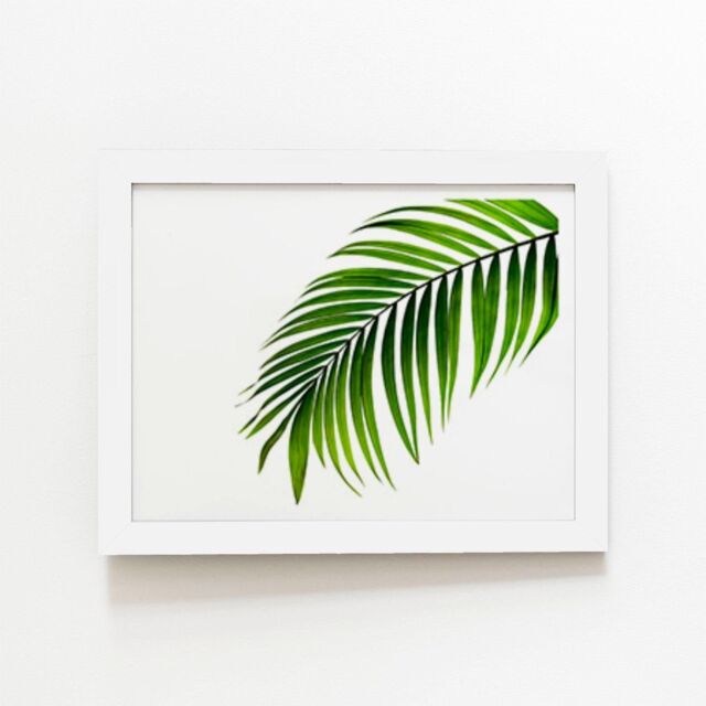 "Warren Reed - Designer Single Palm Leaf Framed Art Print in White - Size: W16"" x H24""" - image 1