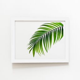 "Warren Reed - Designer Single Palm Leaf Framed Art Print in White - Size: W16"" x H24""" - thumbnail 2