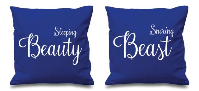 "60 SECOND MAKEOVER Sleeping Beauty Snoring Beast Blue Cushion Covers 16"" x 16"" Couples Cushions Valentines Anniversary Boyfriend - Size: 40 cm x 40 cm"