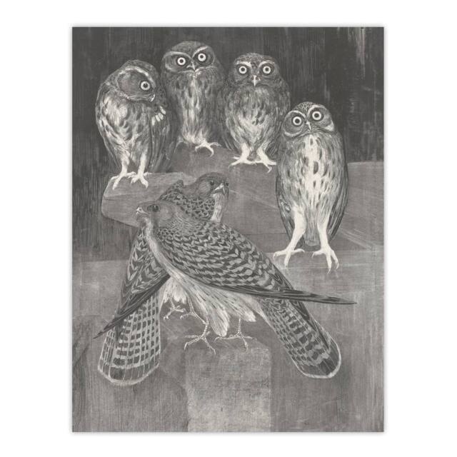 "Artery8 Four Owls & Two Kestrels Vintage Wall Art Print van Hoytema in Grey - Size: W18"" x H24""" - image 1