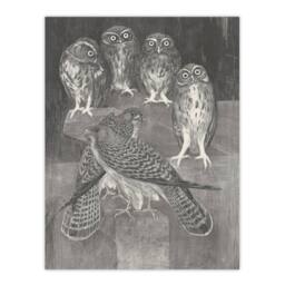 "Artery8 Four Owls & Two Kestrels Vintage Wall Art Print van Hoytema in Grey - Size: W18"" x H24""" - thumbnail 1