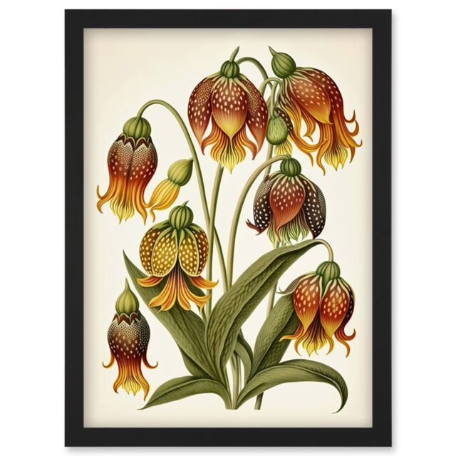 Artery8 Ernst Haeckel Inspired Fritillaria Flower Plant Study Modern Watercolour Painting Illustration Artwork Framed Wall Art Print A4 in Black - image 1