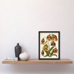 Artery8 Ernst Haeckel Inspired Fritillaria Flower Plant Study Modern Watercolour Painting Illustration Artwork Framed Wall Art Print A4 in Black - thumbnail 2
