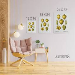 "Artery8 Lemon Citrus Fruit Illustration Redoute Vintage Canvas Wall Art in White - Size: W18"" x H24""" - thumbnail 4