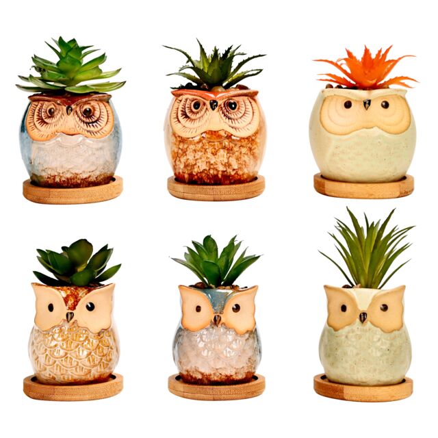 simpa 6PC Assorted Shaped Owl Ceramic Plant Pots with Bamboo Base - image 1