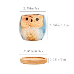simpa 6PC Assorted Shaped Owl Ceramic Plant Pots with Bamboo Base - thumbnail 5